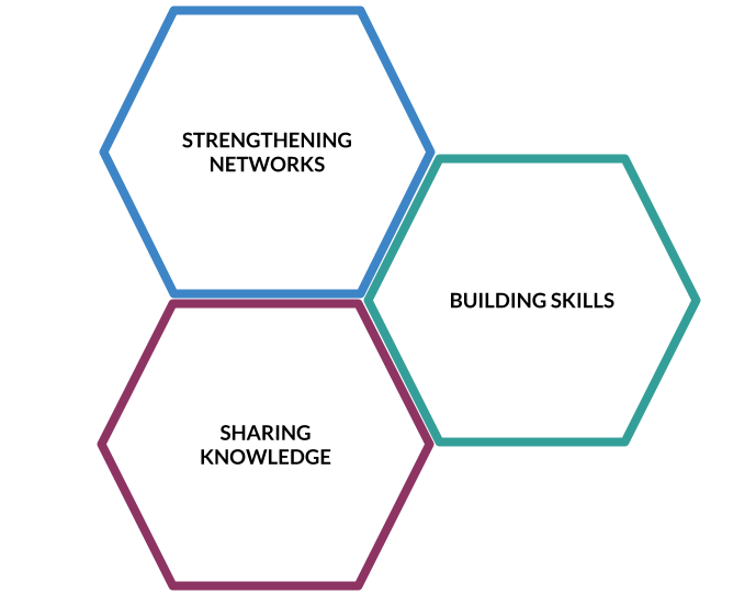 networksknowledgeskills2