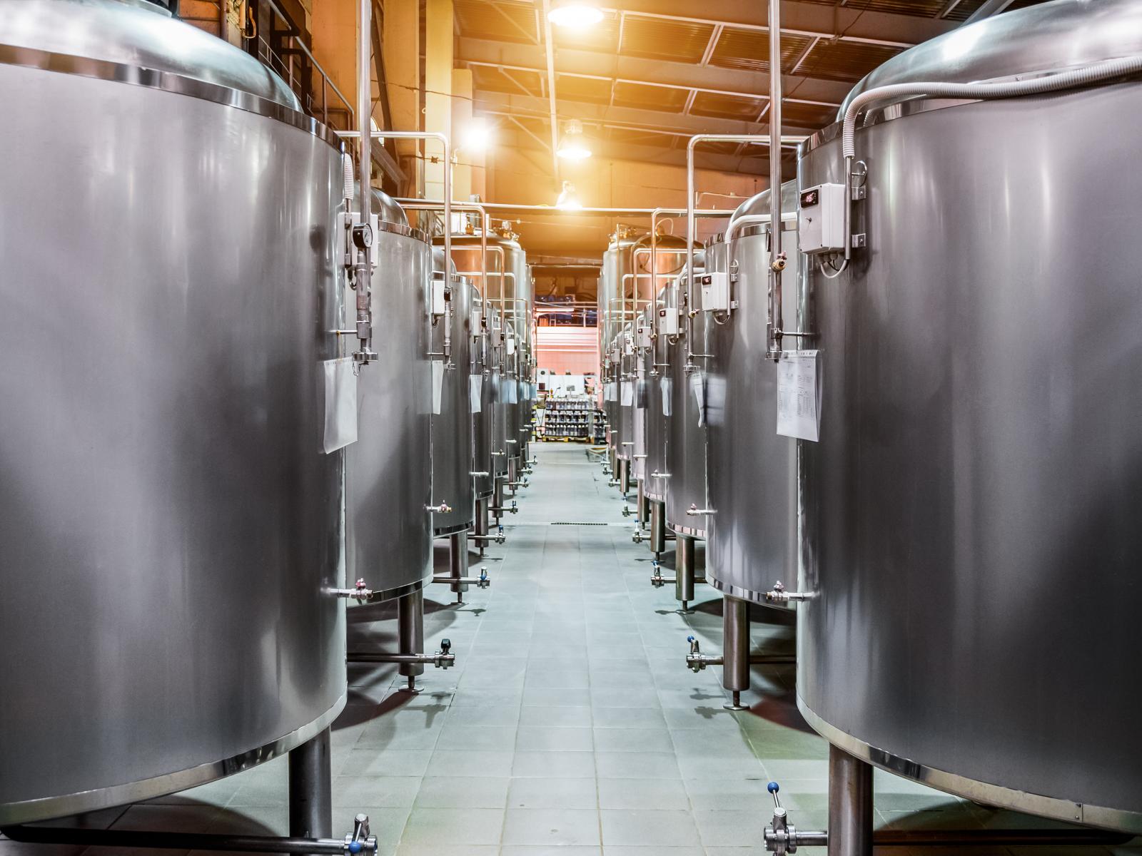 Gasbased fermentation to produce proteins IFSS Portal